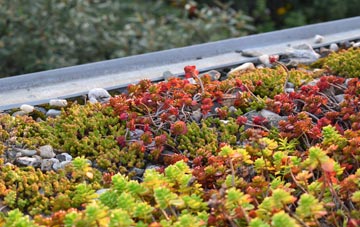 the cost of Areley Kings green roof installation