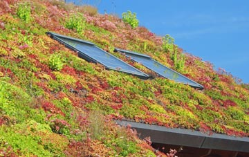 Areley Kings living roof systems